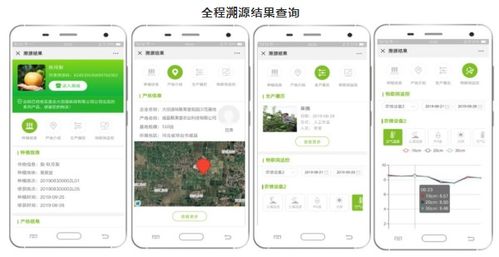 大田智慧农业1.28亿元数字化服务项目 以数字内容制作驱动农产品安全生产新篇章